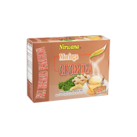 Master Case – 24 Packs x 20 Sachets (Total 480 Instant Tea Sachets) | Wholesale Herbal Tea Case