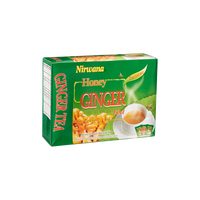 Master Case – 24 Packs x 20 Sachets (Total 480 Instant Tea Sachets) | Wholesale Herbal Tea Case