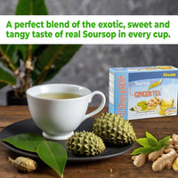 Nirwana Soursop Ginger Tea – 20 Sachets | Instant Herbal Tea for Wellness