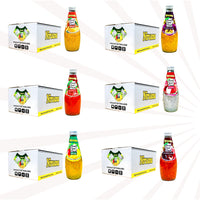 Nirwana Basil Seed Drinks – Assorted Flavors |Quantity: 24 Glass Bottles per Case |  Size: 9.8 fl oz (290ml) per Bottle