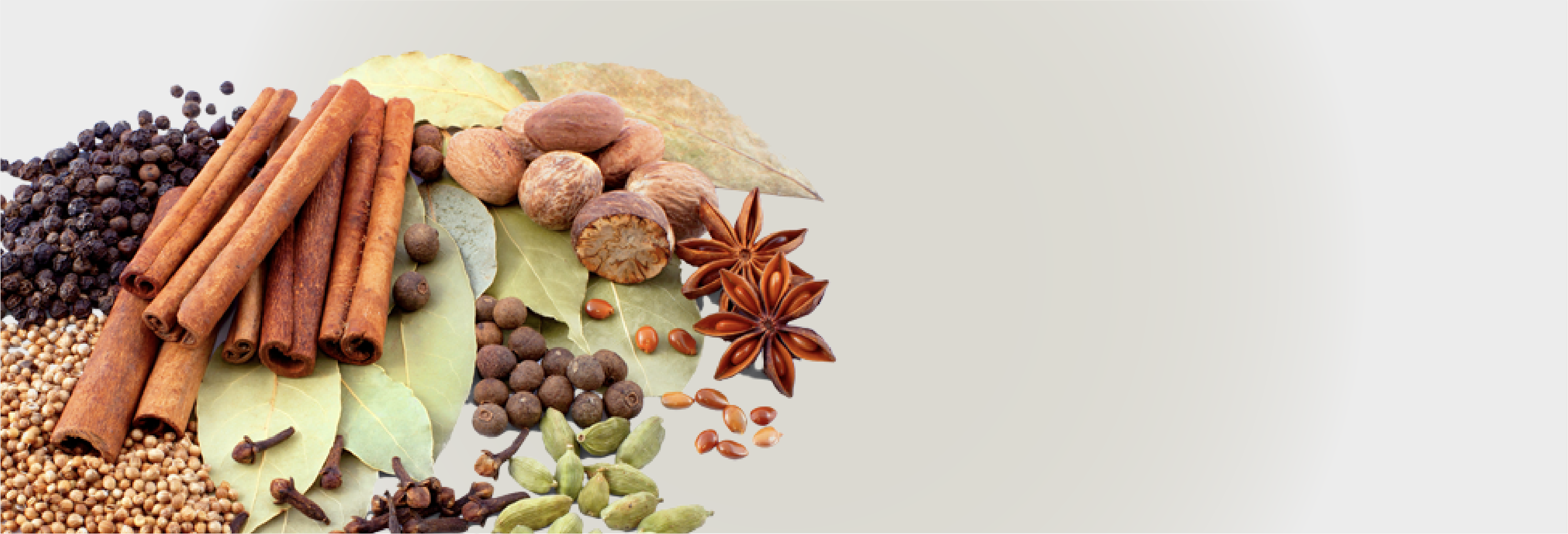 Buy Bulk Products At Lowest Rates