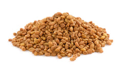 Fenugreek Seed