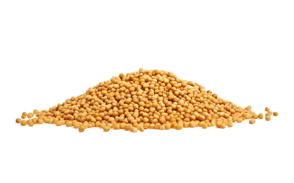 Whole Mustard Wholesale