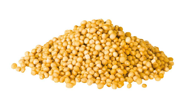 Yellow Mustard Seeds Wholesale