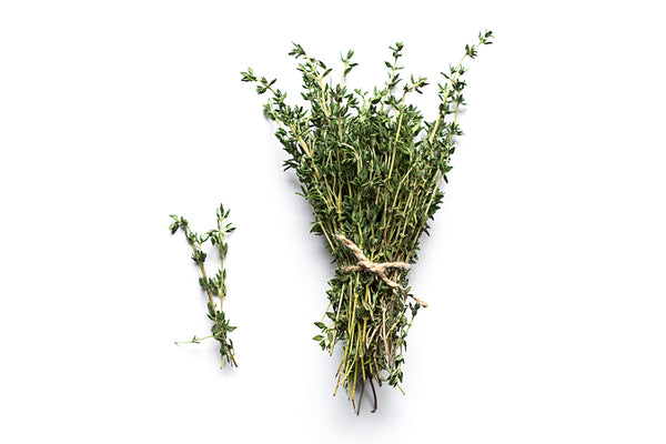 Thyme Wholesale