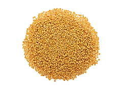 Yellow Mustard Seeds Wholesale