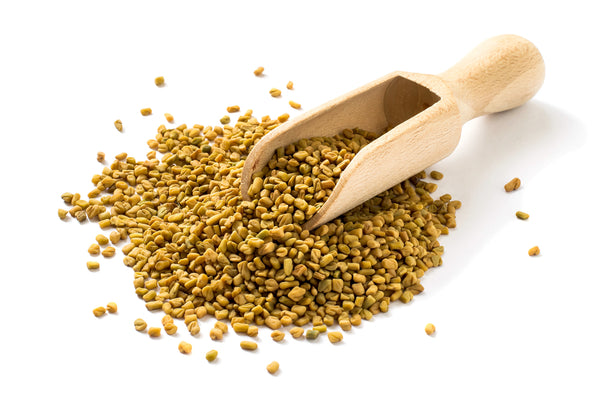 Fenugreek Seed